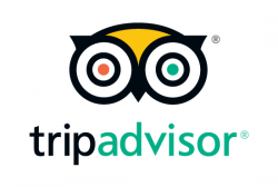 Tripadvior